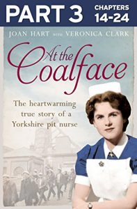 Download At the Coalface: Part 3 of 3: The memoir of a pit nurse pdf, epub, ebook