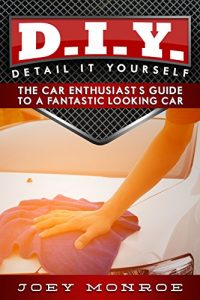 Download D.I.Y. – Detail It Yourself: The Car Enthusiast’s Guide to a Fantastic Looking Car pdf, epub, ebook