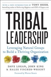 Download Tribal Leadership Revised Edition: Leveraging Natural Groups to Build a Thriving Organization pdf, epub, ebook