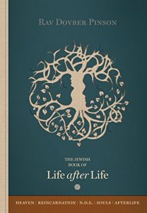 Download The Book of Life after Life pdf, epub, ebook