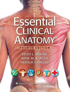 Download Essential Clinical Anatomy pdf, epub, ebook
