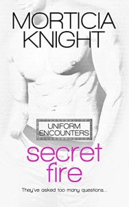 Download Secret Fire (Uniform Encounters Book 5) pdf, epub, ebook