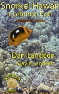 Download Snorkel Hawaii Common Fish: A Beginners Guide (Windriver Series Book 5) pdf, epub, ebook