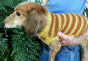 Download Lena’s Textured Stripe Miniature Dachshund Sweater pdf, epub, ebook