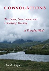 Download Consolations: The Solace, Nourishment and Underlying Meaning of Everyday Words pdf, epub, ebook