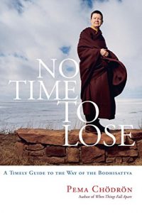 Download No Time to Lose: A Timely Guide to the Way of the Bodhisattva pdf, epub, ebook