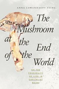 Download The Mushroom at the End of the World: On the Possibility of Life in Capitalist Ruins pdf, epub, ebook