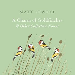 Download A Charm of Goldfinches and Other Collective Nouns pdf, epub, ebook