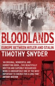 Download Bloodlands: Europe between Hitler and Stalin pdf, epub, ebook