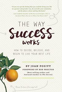 Download The Way Success Works: How to Decide, Believe, and Begin to Live Your Best Life pdf, epub, ebook