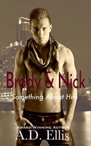 Download Brody & Nick: Something About Him pdf, epub, ebook