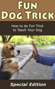 Download Fun Dog Trick: How to Do Fun Trick to Teach Your Dog pdf, epub, ebook