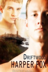 Download Driftwood pdf, epub, ebook