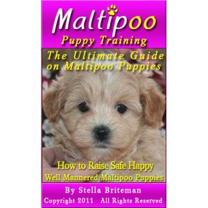 Download Maltipoo Puppy Training: The Ultimate Guide on Maltipoo Puppies, How to Raise Safe, Happy, Well Mannered Maltipoo Puppies pdf, epub, ebook