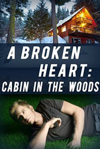 Download A Broken Heart: Cabin in the Woods: Book 1 pdf, epub, ebook