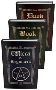 Download Wicca: Wicca Starter Kit (Wicca for Beginners, Big Book of Spells and Little Book of Spells 4) pdf, epub, ebook