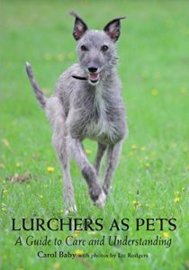 Download Lurchers as Pets: A Guide to Care and Understanding pdf, epub, ebook