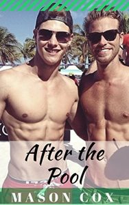 Download After the Pool pdf, epub, ebook