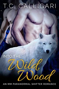 Download Romance: Into the Wild Wood (M/M, Gay Shifter, Paranormal, MPreg Romance) (Alpha and Omega Gay Romance Short Stories Book 1) pdf, epub, ebook