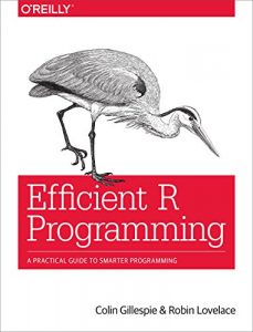 Download Efficient R Programming: A Practical Guide to Smarter Programming pdf, epub, ebook