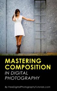 Download Mastering the Art of Photography Composition: Learn Tips and Tricks for Better Creative Photos for Beginners and Intermediate Photographers pdf, epub, ebook