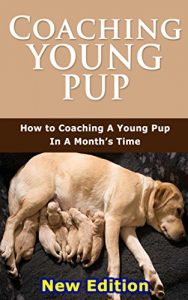 Download Coaching Young Pup: How to Coaching A Young Pup In A Month’s Time pdf, epub, ebook