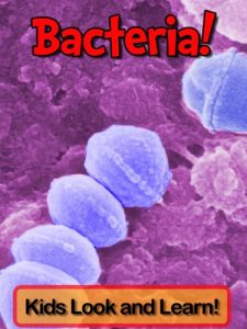 Download Bacteria! Learn About Bacteria and Enjoy Colorful Pictures – Look and Learn! (50+ Photos of Bacteria) pdf, epub, ebook