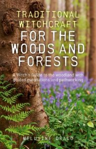 Download Traditional Witchcraft for the Woods and Forests: A Witch’s Guide to the Woodland with Guided Meditations and Pathworking pdf, epub, ebook