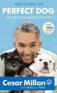 Download How to Raise the Perfect Dog: Through puppyhood and beyond pdf, epub, ebook