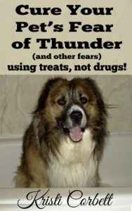 Download Cure Your Pet’s Fear of Thunder pdf, epub, ebook