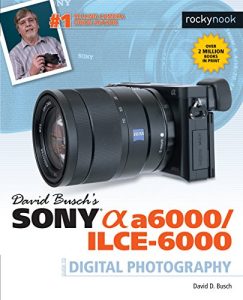 Download David Busch’s Sony Alpha a6000/ILCE-6000 Guide to Digital Photography pdf, epub, ebook