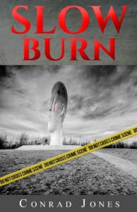 Download Slow Burn, a gripping tale of revenge (Detective Alec Ramsay Series Book 2) pdf, epub, ebook