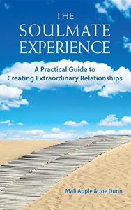 Download The Soulmate Experience: A Practical Guide to Creating Extraordinary Relationships pdf, epub, ebook