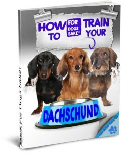 Download How to Train your Dachshund pdf, epub, ebook