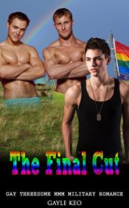 Download Gay Romance: The Final Cut pdf, epub, ebook