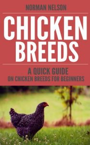 Download Chicken Breeds:  A Quick Guide on Chicken Breeds for Beginners pdf, epub, ebook