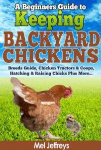 Download A Beginners Guide to Keeping Backyard Chickens – Breeds Guide, Chicken Tractors & Coops, Hatching & Raising Chicks Plus More… (Simple Living) pdf, epub, ebook