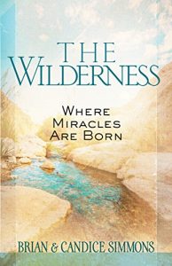 Download The Wilderness: Where Miracles Are Born (The Passion Translation) pdf, epub, ebook