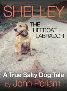 Download Shelley The Lifeboat Labrador pdf, epub, ebook