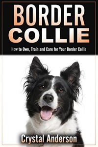 Download Border Collie: How to Own, Train and Care for Your Border Collie pdf, epub, ebook