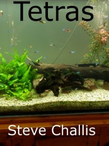 Download Tetras pdf, epub, ebook