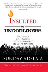 Download Insulted By Ungodliness: Raising a generation of the provoked in every nation pdf, epub, ebook