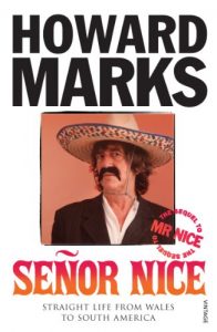 Download Senor Nice: Straight Life from Wales to South America pdf, epub, ebook