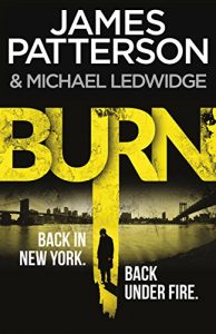 Download Burn: (Michael Bennett 7) pdf, epub, ebook