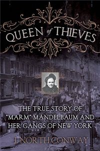 Download Queen of Thieves: The True Story of “Marm” Mandelbaum and Her Gangs of New York pdf, epub, ebook