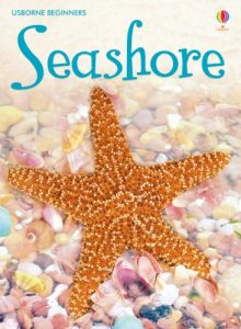 Download Seashore: For tablet devices (Usborne Beginners) pdf, epub, ebook