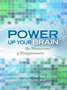 Download Power Up Your Brain pdf, epub, ebook