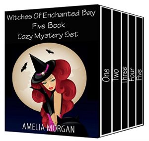 Download Witches Of Enchanted Bay Five Book Cozy Mystery Set pdf, epub, ebook