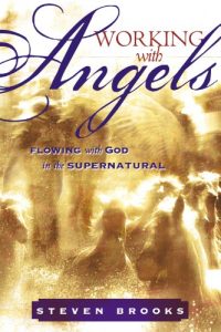 Download Working with Angels: Flowing With God in the Supernatural pdf, epub, ebook