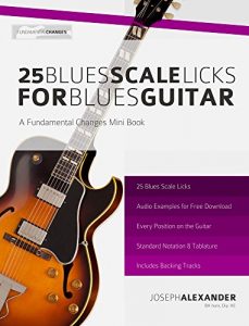 Download 25 Blues Scale Licks for Blues Guitar pdf, epub, ebook